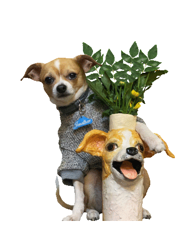 Mothers Day Flowers Sticker