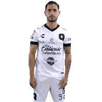 Liga Mx Gallos Sticker by Club Querétaro