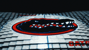Happy Excited GIF by Florida Gators