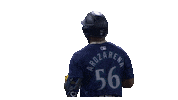 Celebrate Seattle Mariners Sticker by MLB
