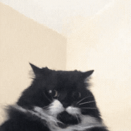 GIF by MOODMAN