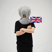 ostrichpillow mood sleep flag uk GIF
