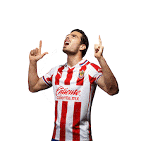 Rebano Sagrado Guadalajara Sticker by PUMA