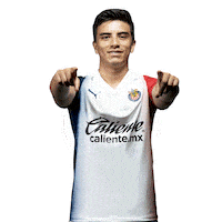 Rebano Sagrado Guadalajara Sticker by PUMA