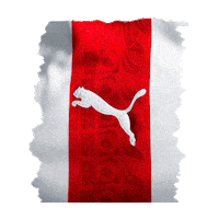 Rebano Sagrado Guadalajara Sticker by PUMA