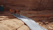 deal please GIF