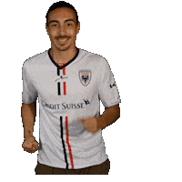 FCAarau fcaarau almeida mickaelalmeida Sticker