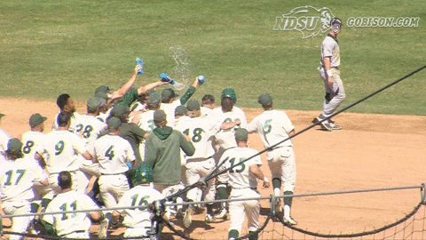 north dakota state baseball GIF by NDSU Athletics