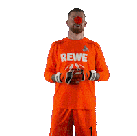 1 Fc Cologne Laugh Sticker by 1. FC Köln