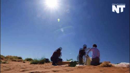 grand canyon news GIF by NowThis 