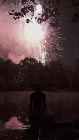4Th Of July Mood GIF by Charli Gurl