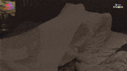 Video gif. A person moves around under the covers on a bed as a person leaps up like a frog in the shadows behind it.