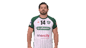 Handball-Bundesliga Fun Sticker by LIQUI MOLY HBL