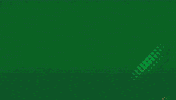 Basketball Slovenia GIF by kkcedevitaolimpija