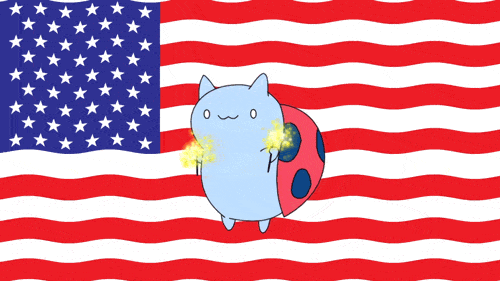 4Th Of July Animation GIF by Cartoon Hangover