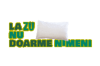 Somn Nimeni Sticker by Radio ZU