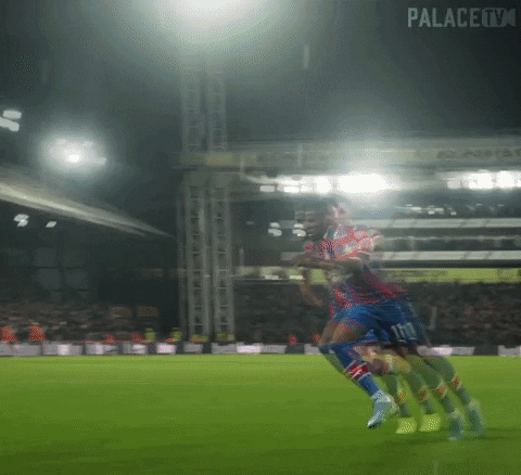 Crystal Palace Football GIF by CPFC