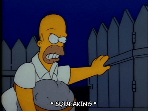 Season 1 Episode 3 GIF by The Simpsons