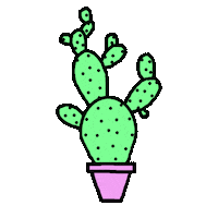 addisonandestreet flower plant cactus bloom Sticker