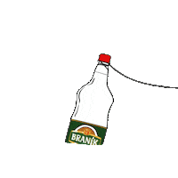 Beer Pivo Sticker by branikpivo