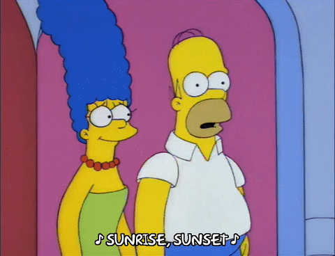 homer simpson GIF