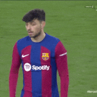Varca Pedri GIF
