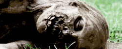 GIF by netflixlat