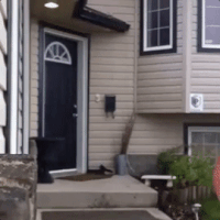 wshh GIF by Worldstar Hip Hop