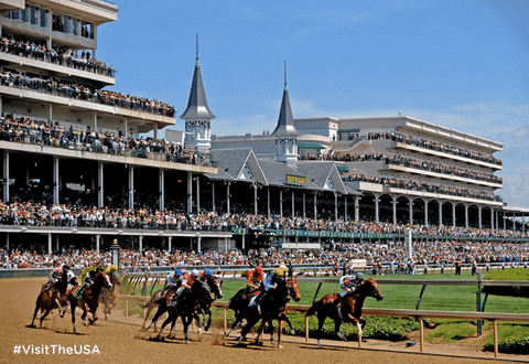 horse racing kentucky GIF by Visit The USA