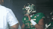 College Football GIF by USF Athletics