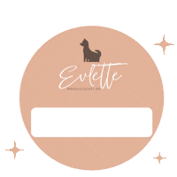 Ambassador Affiliate Sticker by Evlette