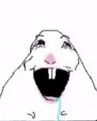 Iraq Omg GIF by Bashar