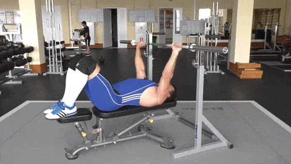 bodybuilding-and-fitness giphyupload zhim gilotina GIF