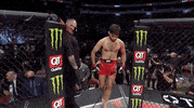 Sport Mma GIF by UFC