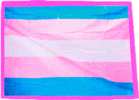 Facebook Empreendedorismo Feminino GIF by impulsionecomfacebook