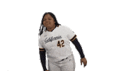 play ball california Sticker by Cal Athletics