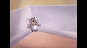 Tom And Jerry Nibbles GIF