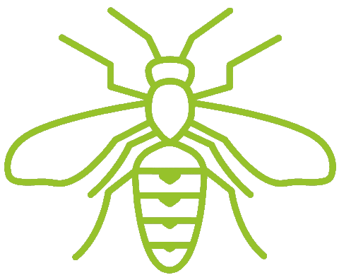 ednetze giphyupload green animal natur Sticker