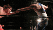 SHWAWrestling clyde perth pro wrestling tassels southern hemisphere wrestling alliance GIF