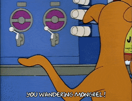 Season 2 GIF by The Simpsons