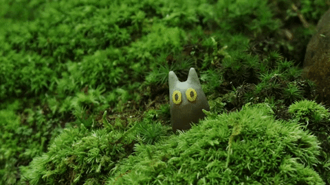 sumofitsparts giphyupload cat animation animated GIF