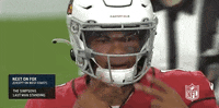 Regular Season Football GIF by NFL