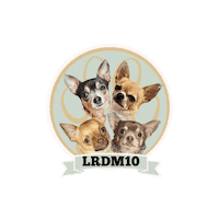 Lrdm10 Sticker by Pimp Yo Pets