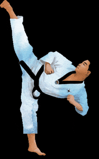 Martial Arts Sport GIF by vank