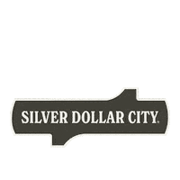 Theme Park Rollercoaster Sticker by Silver Dollar City