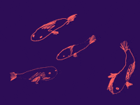 kohlenstoff_b fish fisch poisson pesce GIF