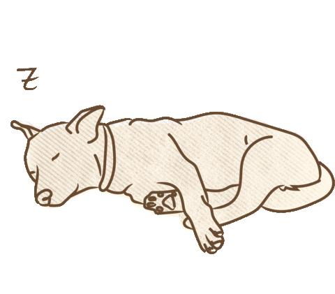Tired Sweet Dreams Sticker by goliatandfriends
