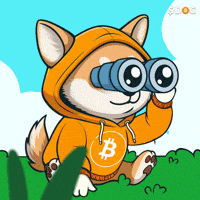 Dog At The Park GIF by $DOG