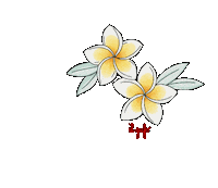 Hawaii Aloha Sticker by Il Gufo
