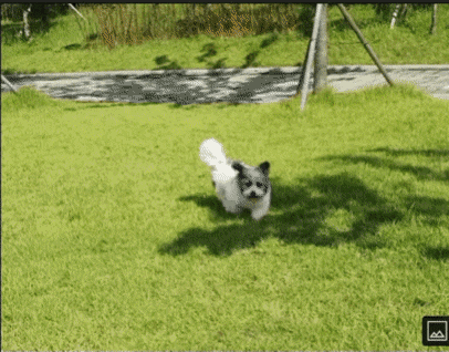 jseinyyi giphyupload GIF
